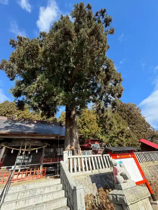鼬幣稲荷神社(岩手県)