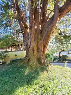 崇禅寺(群馬県)