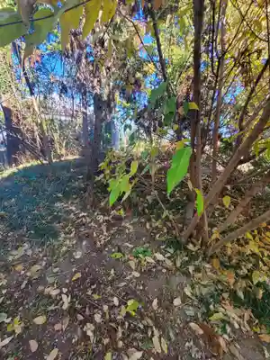 神明神社(羽刈町)(栃木県)