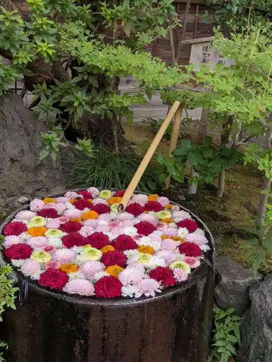 心行寺(東京都)