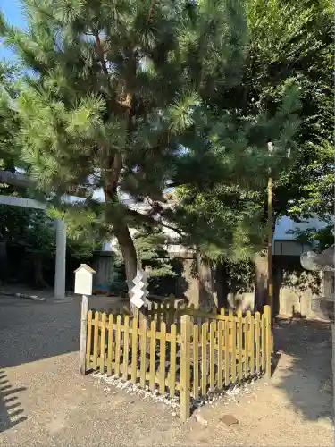 安久美神戸神明社(愛知県)