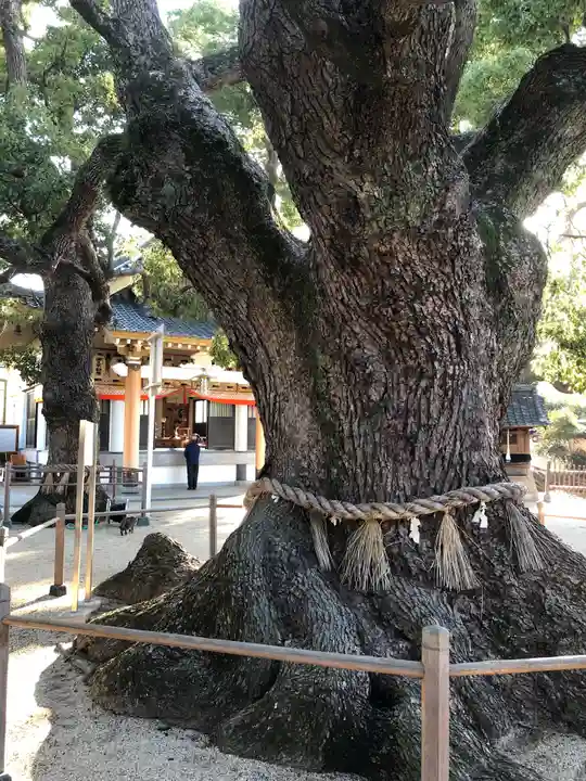 大聖観音寺(あびこ観音)の自然