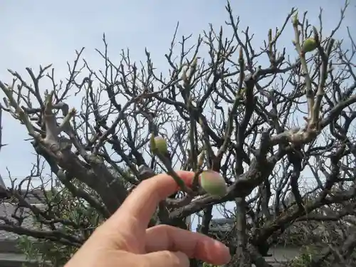 金剛院(東京都)