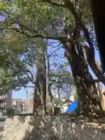 八幡社(白山社八幡社)(愛知県)