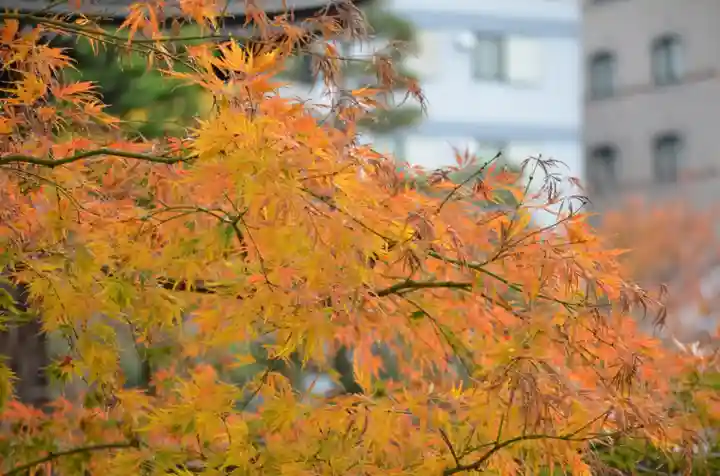 本能寺(京都府)