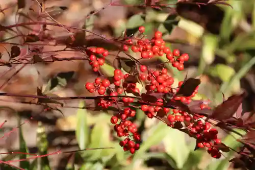 開成山大神宮の庭園