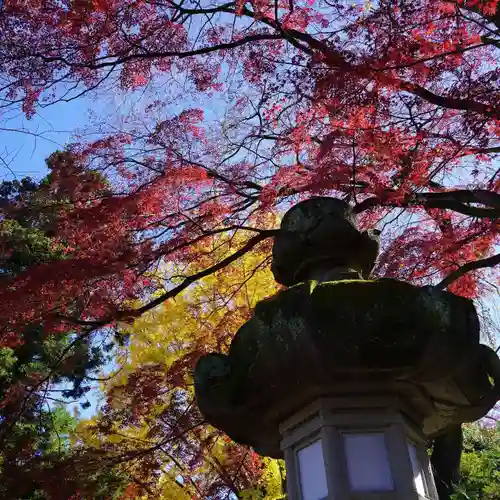 神炊館神社 ⁂奥州須賀川総鎮守⁂の景色