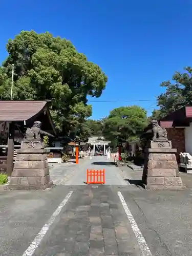 玉村八幡宮(群馬県)