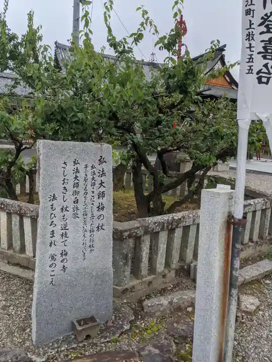 乙津寺 (鏡島弘法)の自然