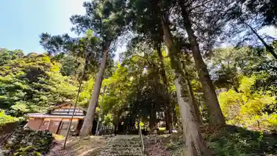 泉神社(福井県)