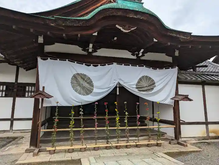 大覚寺(京都府)