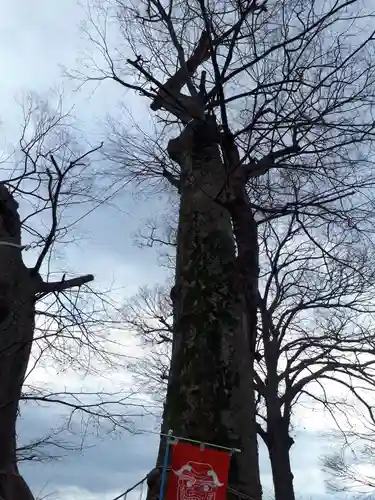 八枝神社の自然