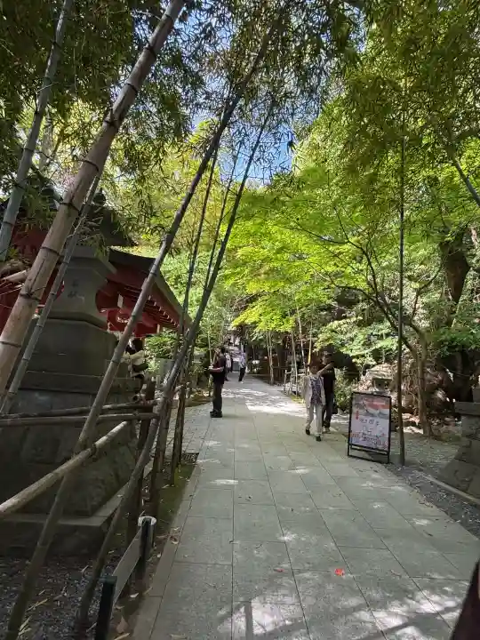 來宮神社の{uncategorized: "未分類", other: "その他", undefined: "問題あり", building: "その他建物", grave: "お墓", sacred_gate: "鳥居", guardian: "狛犬", statue: "像", buddha: "仏像", history: "歴史", nature: "自然", garden: "庭園", animal: "動物", pagoda: "塔", temizu: "手水舎", mountain_gate: "山門・神門", sanctuary: "本殿・本堂", subordinate: "末社・摂社", art: "芸術", scenery: "景色", jizo: "地蔵", ema: "絵馬", goshuin: "御朱印", omikuji: "おみくじ", items: "授与品その他", amulet: "お守り", goshuincho: "御朱印帳", eats: "食事", festival: "お祭り", votive_dance: "神楽", shichigosan: "七五三参", wedding: "結婚式", experience: "体験その他", initially: "初詣", around: "周辺", anti_infection: "感染症対策"}