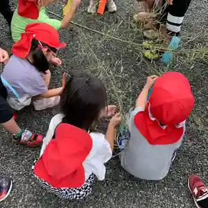 豊景神社(福島県)(2022年07月05日(火) 13時45分21秒投稿)