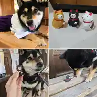 日本唯一香辛料の神 波自加彌神社(石川県)