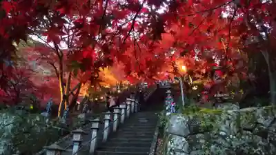 大山寺(神奈川県)