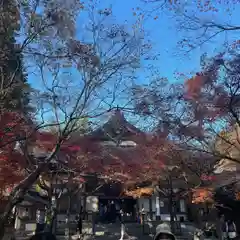 鉾立山天王院(福岡県)