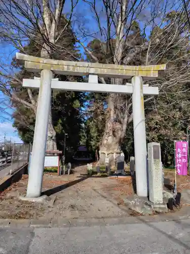 智賀都神社(栃木県)