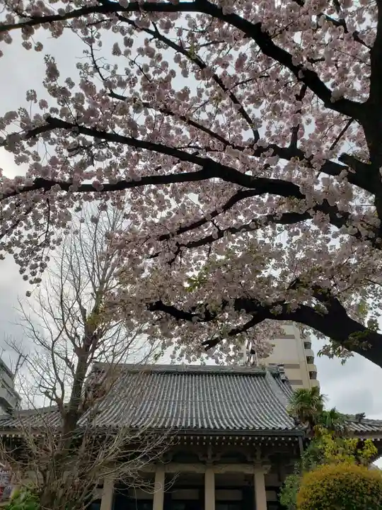 報恩寺(東京都)