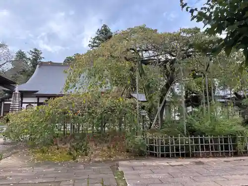 無量壽院(千葉県)