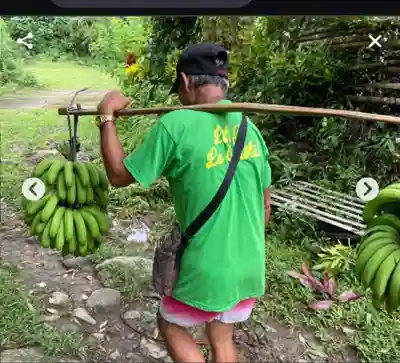 全忠寺(愛知県)