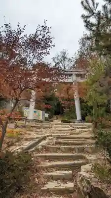 自玉手祭来酒解神社(京都府)