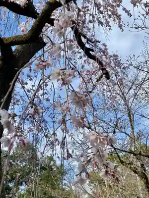 岩屋寺(京都府)