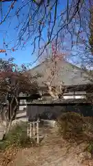 宝林寺の本殿