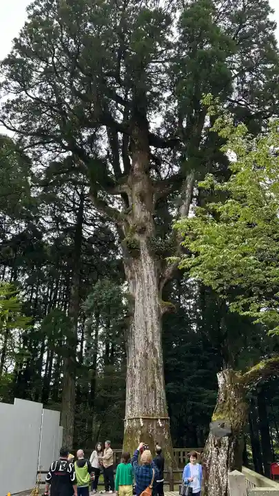 霧島神宮(鹿児島県)
