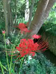 普門寺(切り絵御朱印発祥の寺)(愛知県)