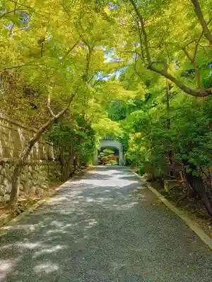 桃巌寺のその他建物