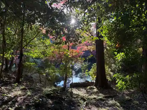 醍醐寺(京都府)
