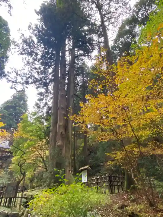 御岩神社(茨城県)