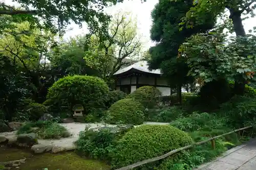 高円寺の庭園