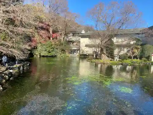 富士山本宮浅間大社の庭園