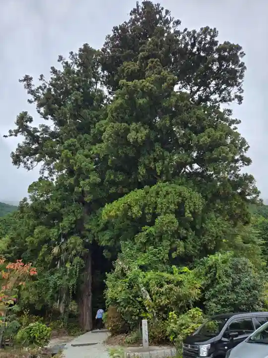 高天彦神社(奈良県)