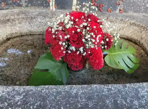 三津厳島神社(愛媛県)