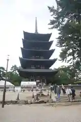 興福寺の建物その他