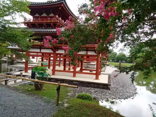 平等院(京都府)
