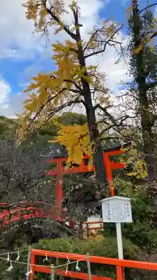 賀茂御祖神社（下鴨神社）(京都府)