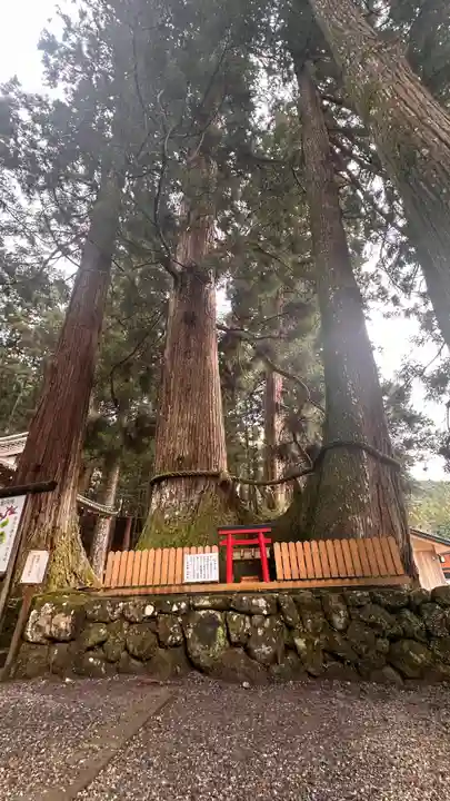 室生龍穴神社(奈良県)