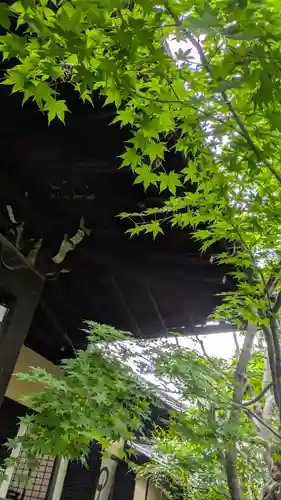 勝林寺(京都府)