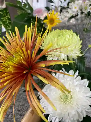 高砂神社の自然