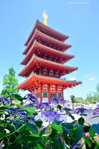 高幡不動尊　金剛寺(東京都)