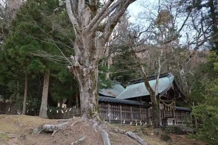諏訪大社上社前宮(長野県)