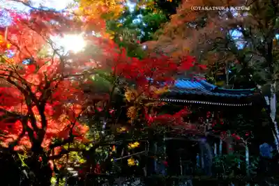 最乗寺（道了尊）(神奈川県)