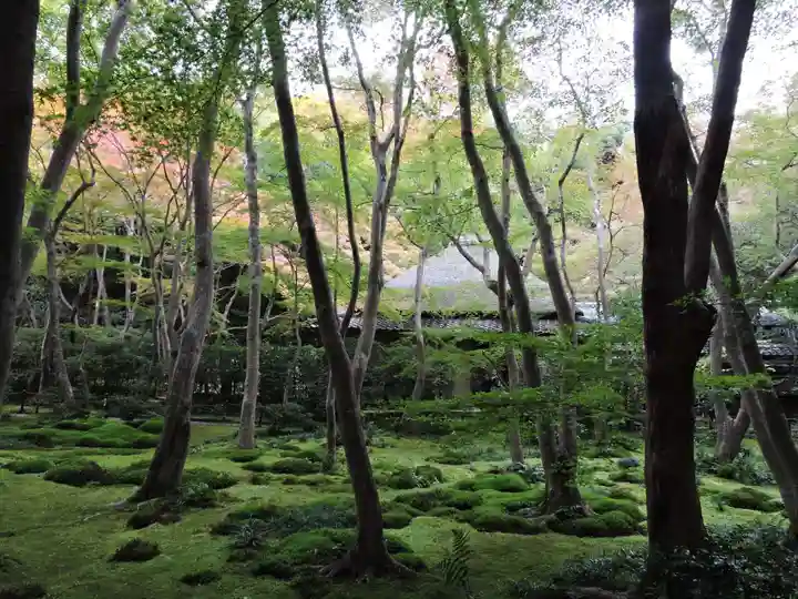 祇王寺(京都府)
