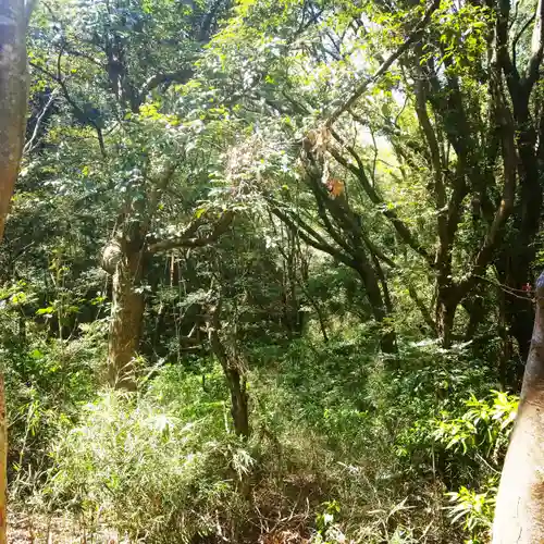 鹿島神宮の自然