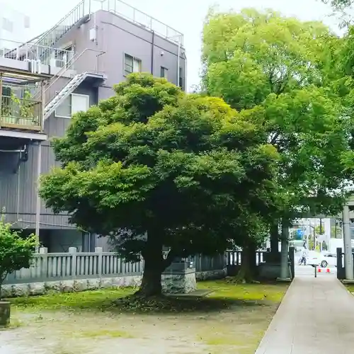 香取神社の鳥居