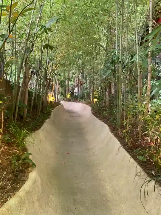 來宮神社(静岡県)